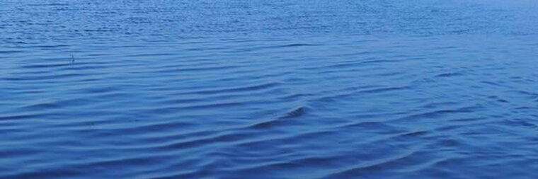 IMANOL ANGELI banner image