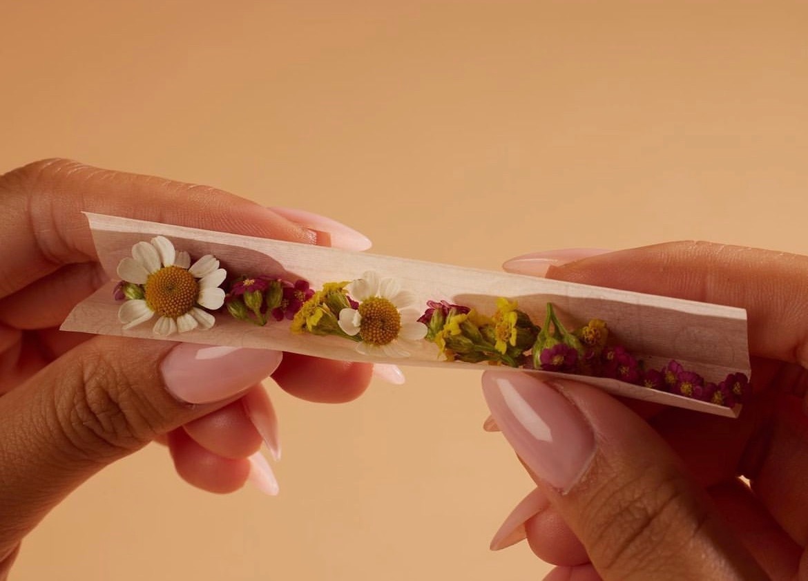 A L Y 🌷 banner image