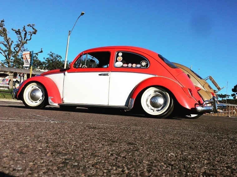 Cesar’s Beetle cover image