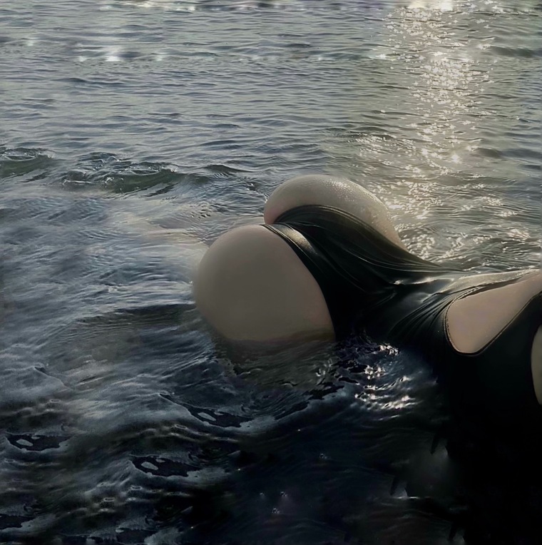 e l i n a cover image
