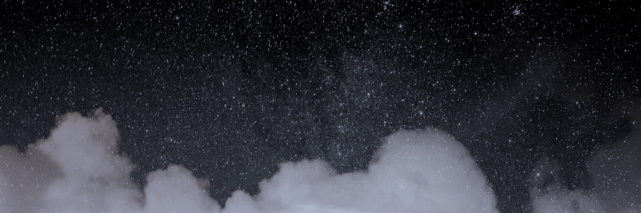 LadyLinn banner image