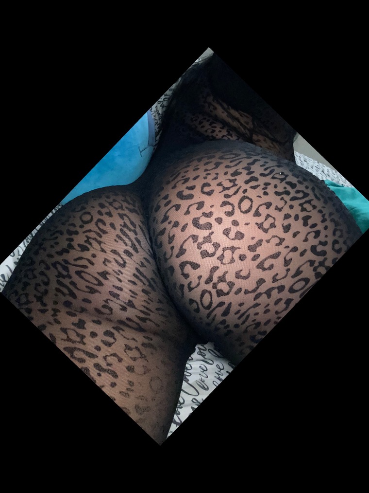 Maria Jose Contreras Pernia cover image