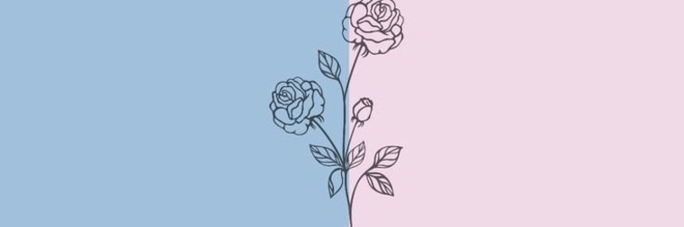 Sami banner image