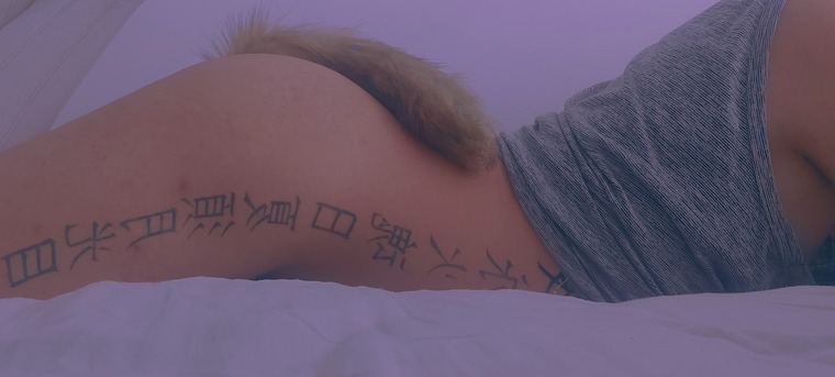 ๐ ๐ ๐๐๐๐๐ ๐ ๐ banner image