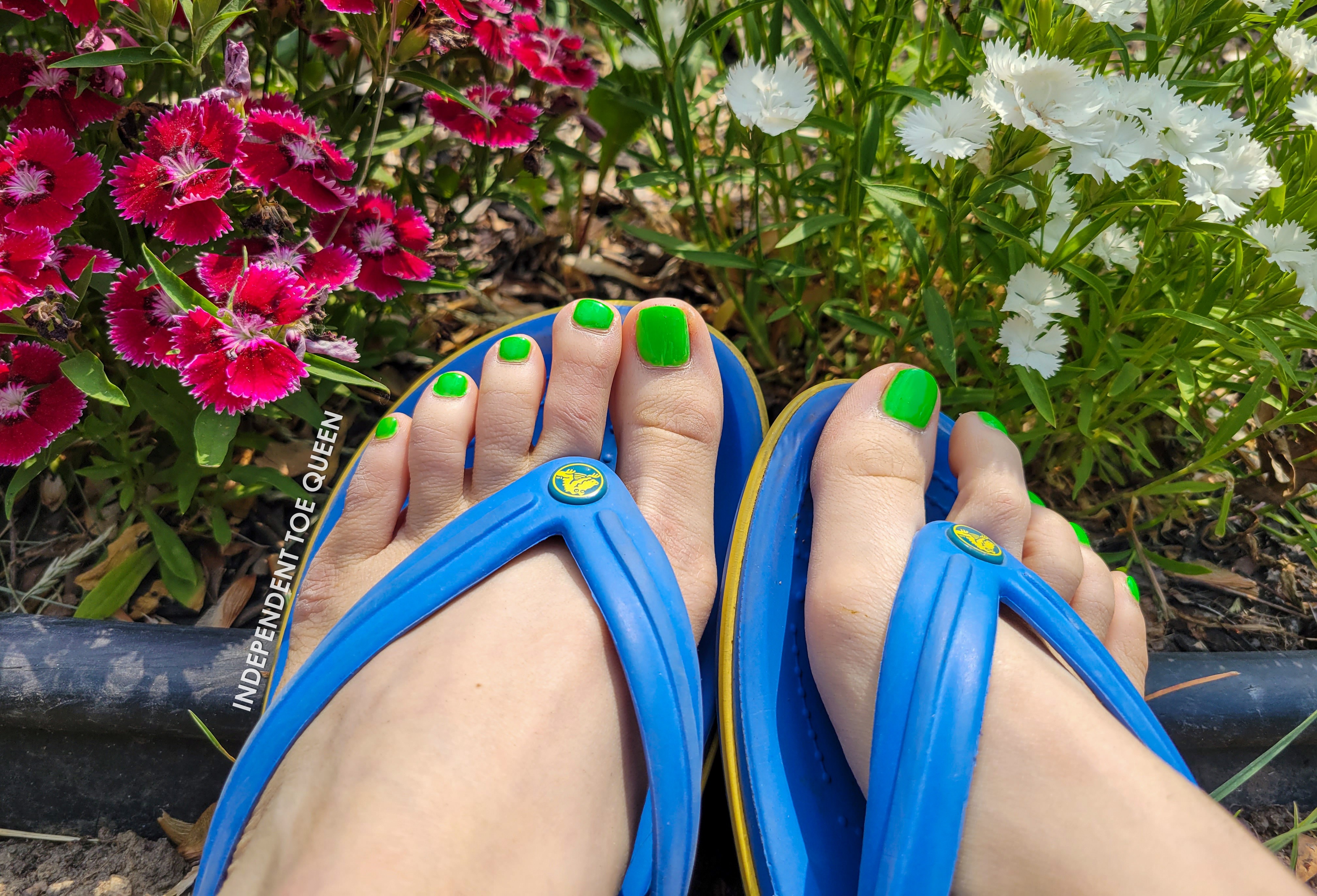 Independent Toe Queen banner image