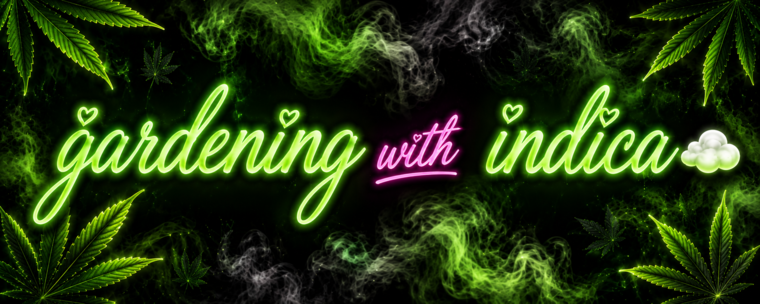 Nudesbyindica banner image