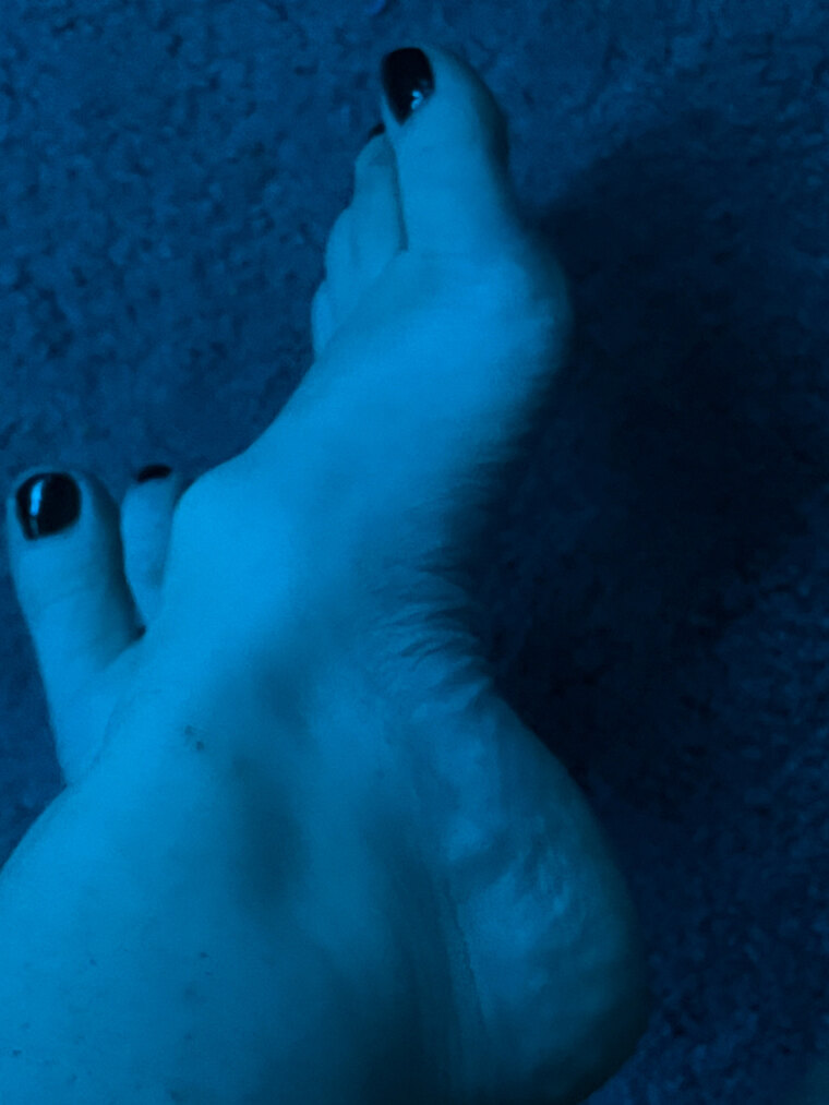 Indigo banner image