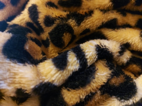 Elle's Bedroom cover image