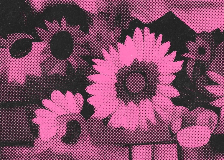 Inez Sunflower banner image