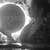 ink_dania avatar
