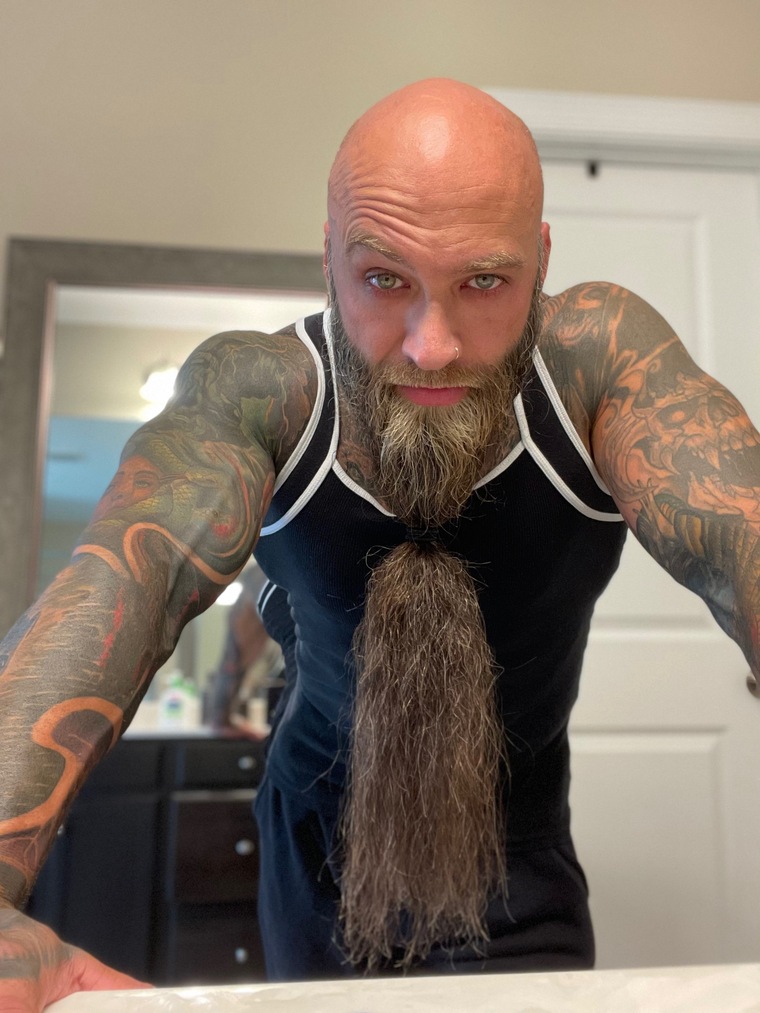 Viking cover image