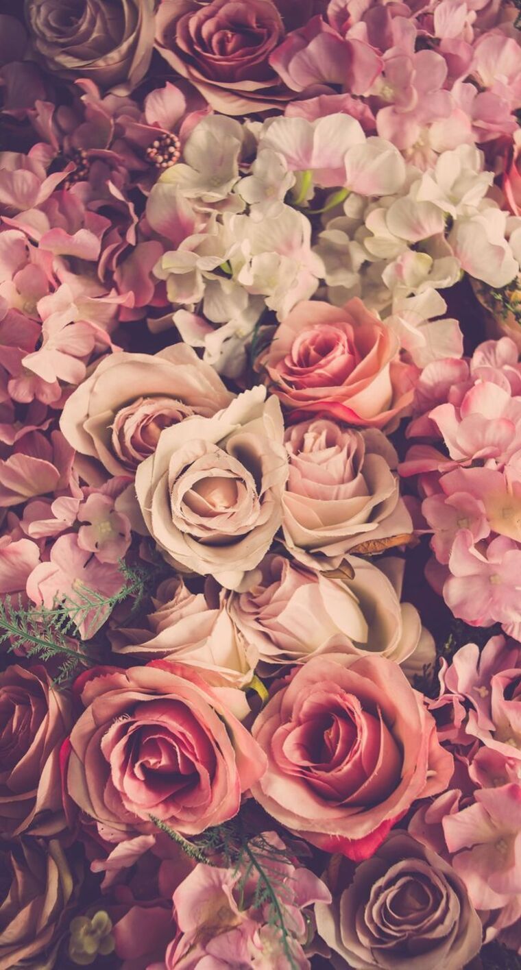 ;) cover image