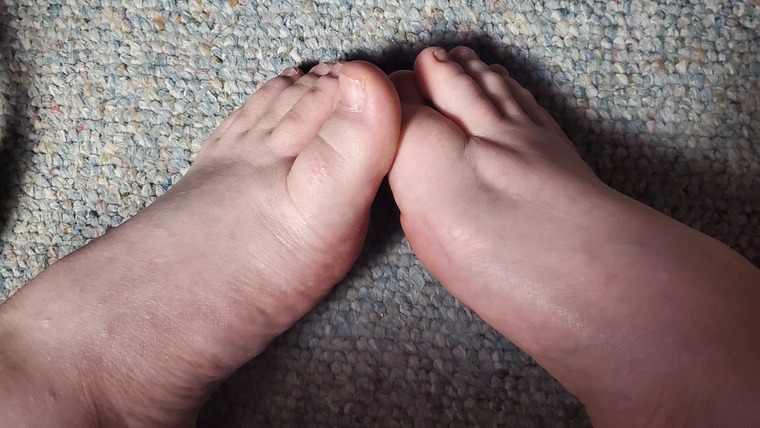 Inky Feetsies cover image
