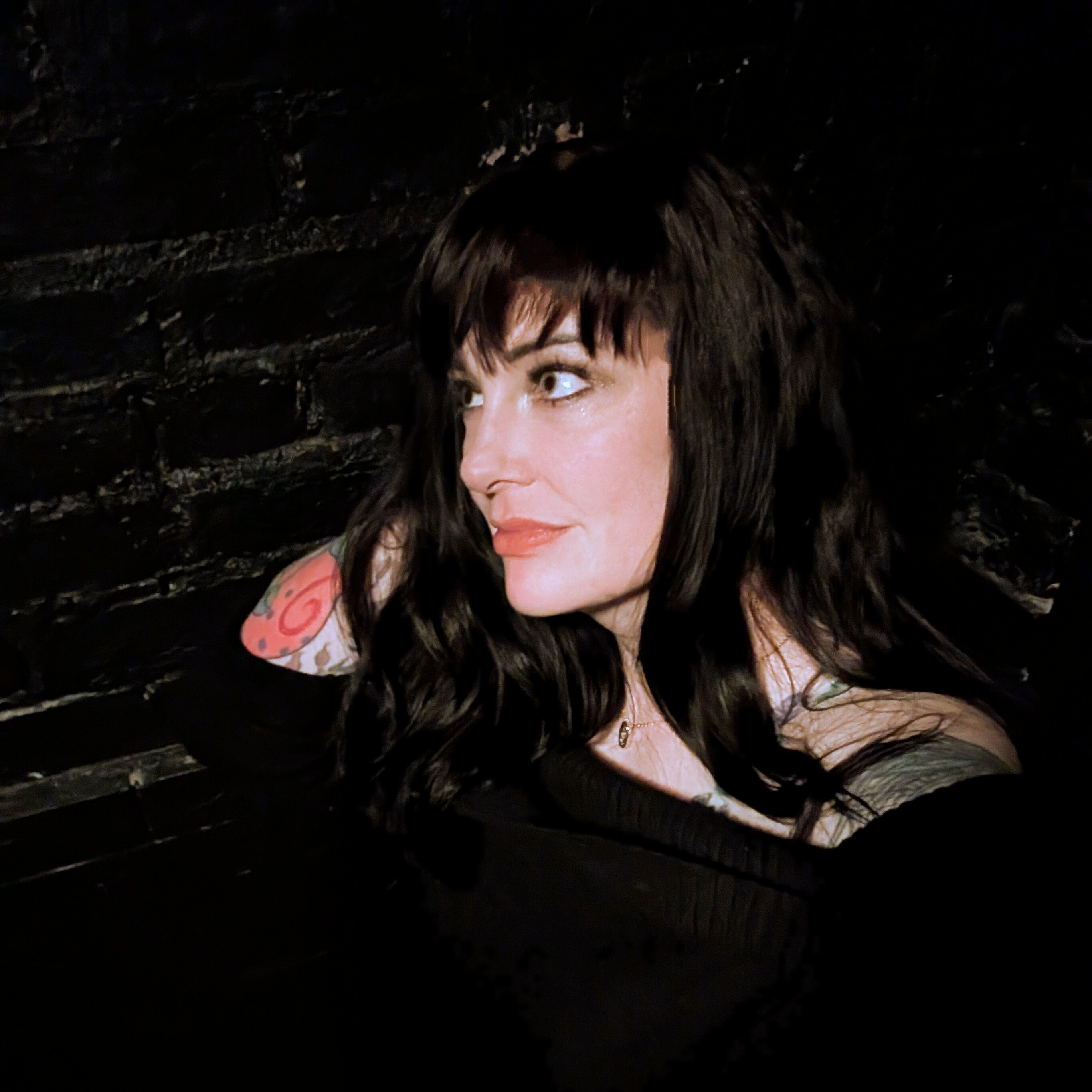 Vivie banner image