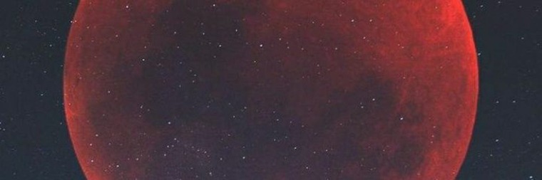 Insane.lady banner image