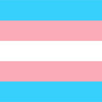 Piel y silencio trans avatar