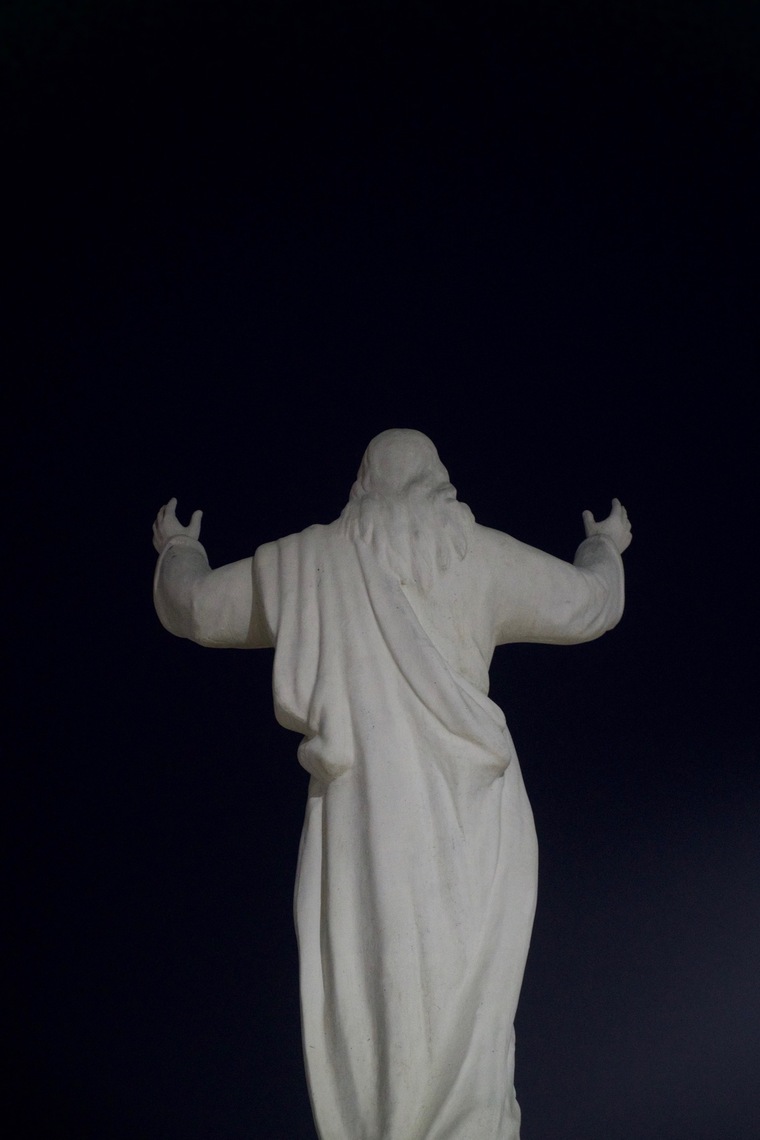 IoSauro cover image