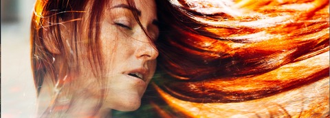 Irina Fox cover image