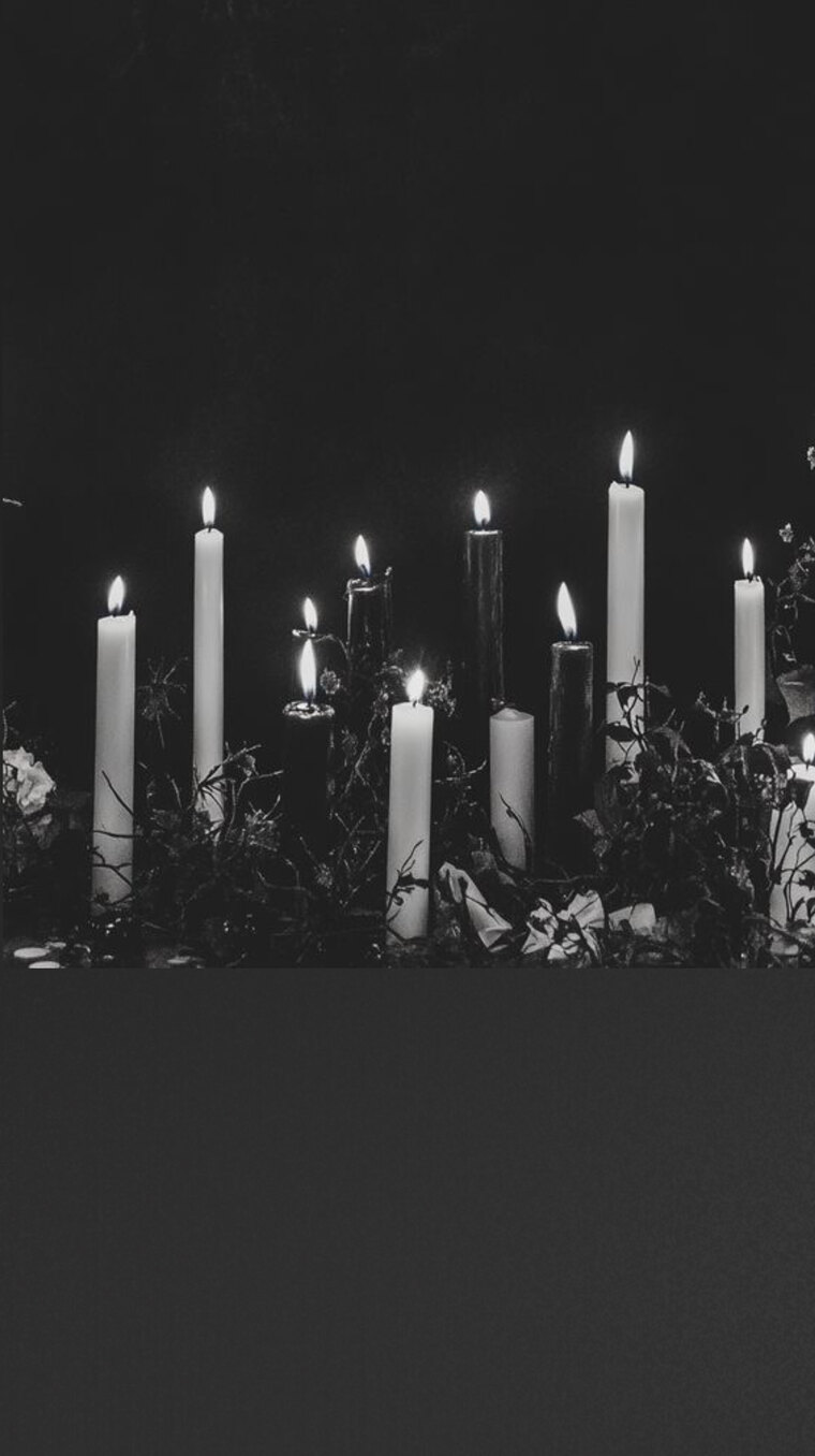 Iron rose banner image