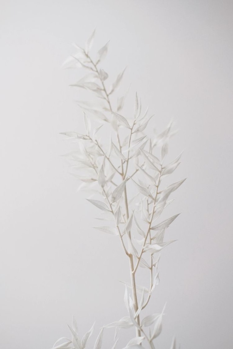 Isa cover image