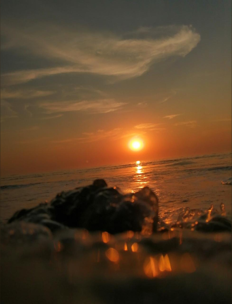 Isania Amber cover image