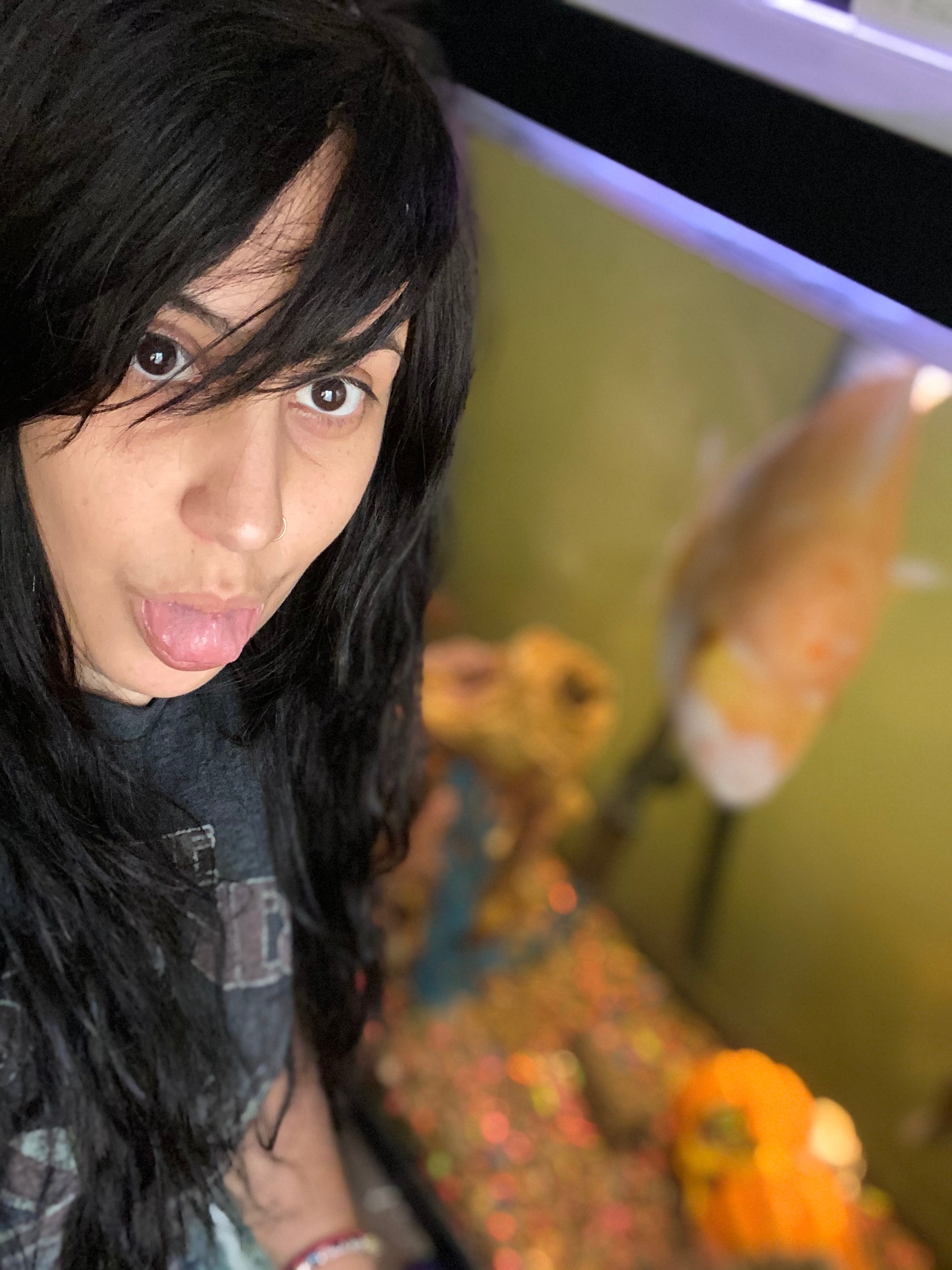 Claudia Alvarado banner image