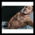 Ricardo Torres. avatar