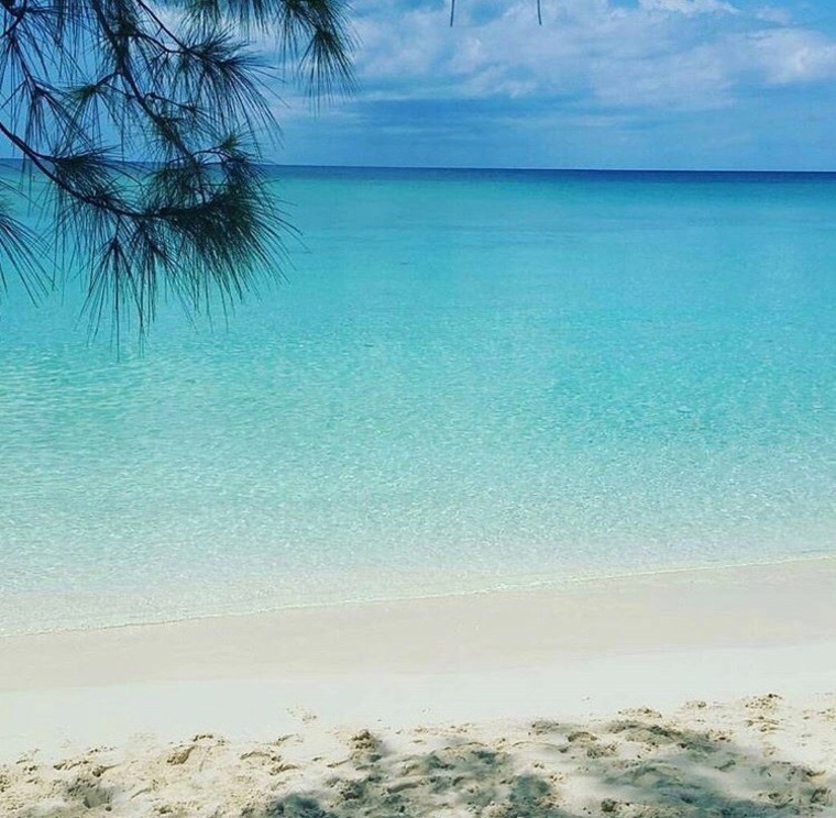 Islandcat banner image