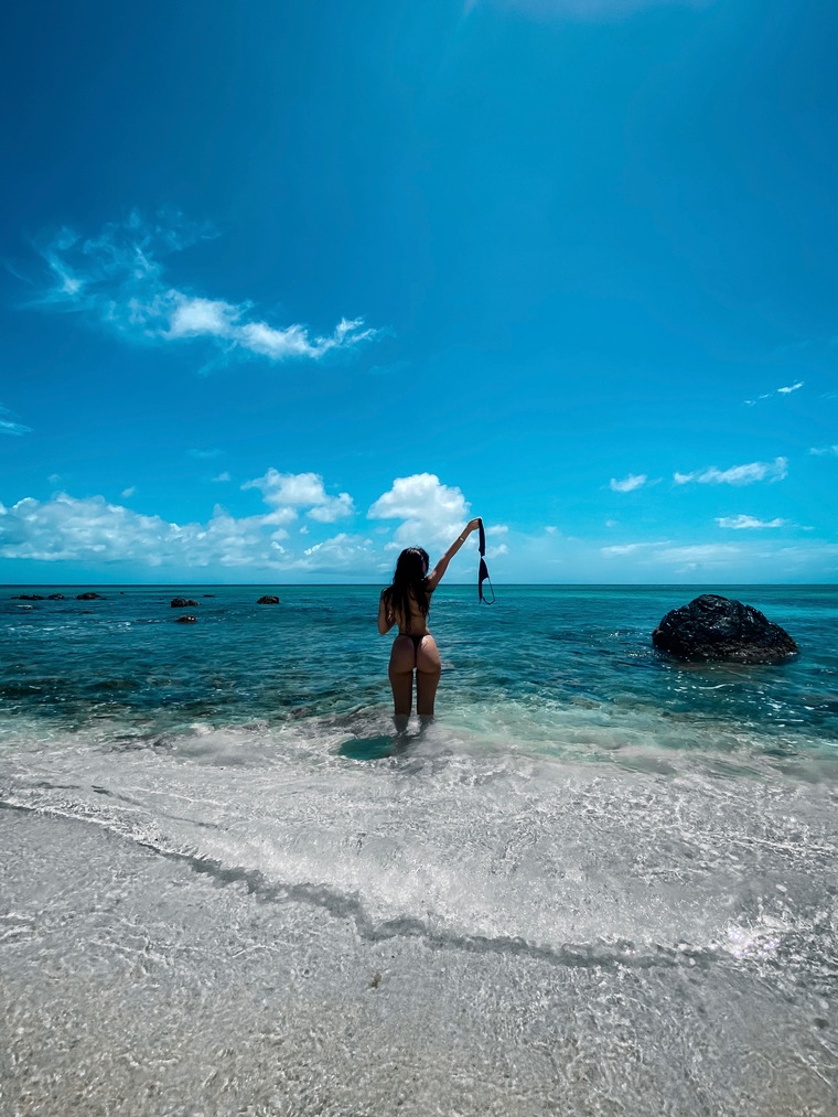 L cover image