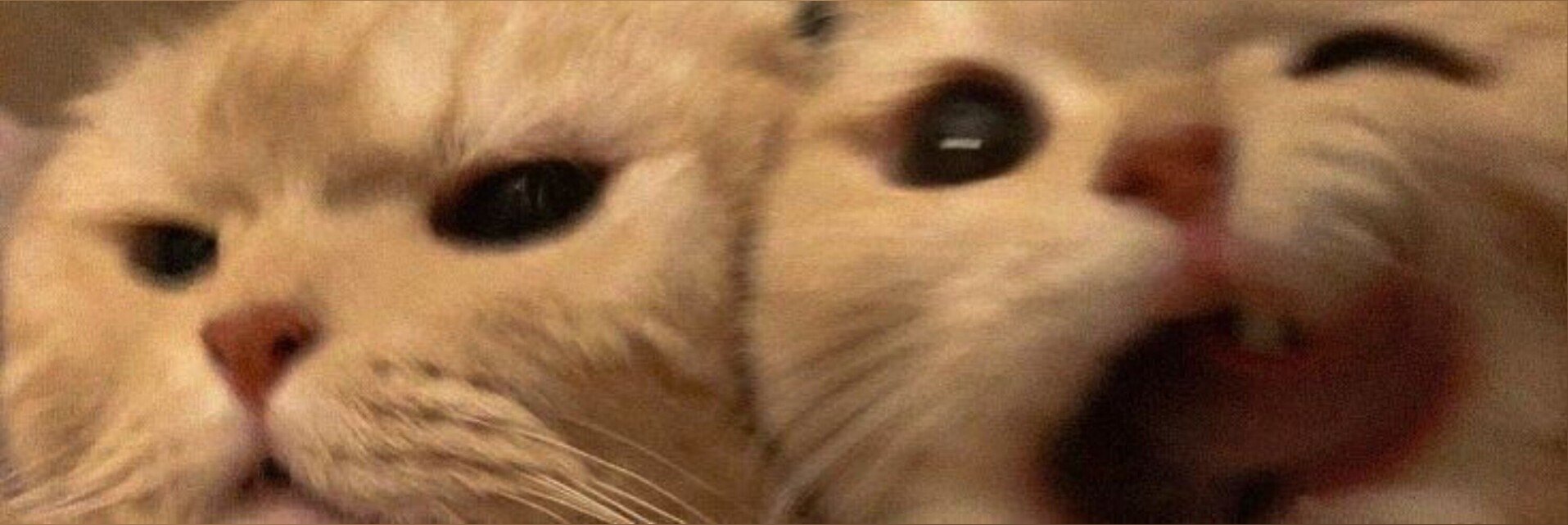 Isabelle π banner image