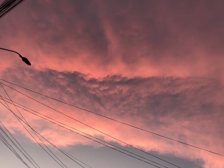 Patricia banner image