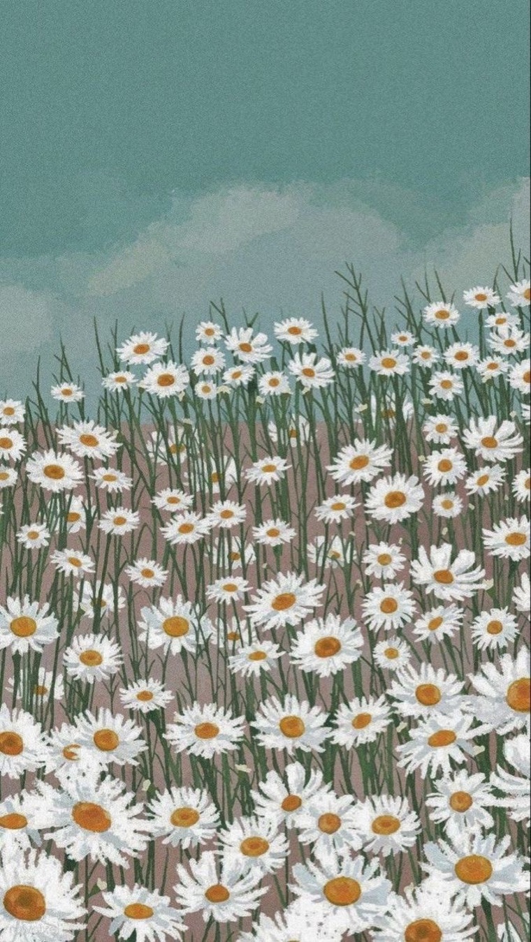Daisy banner image