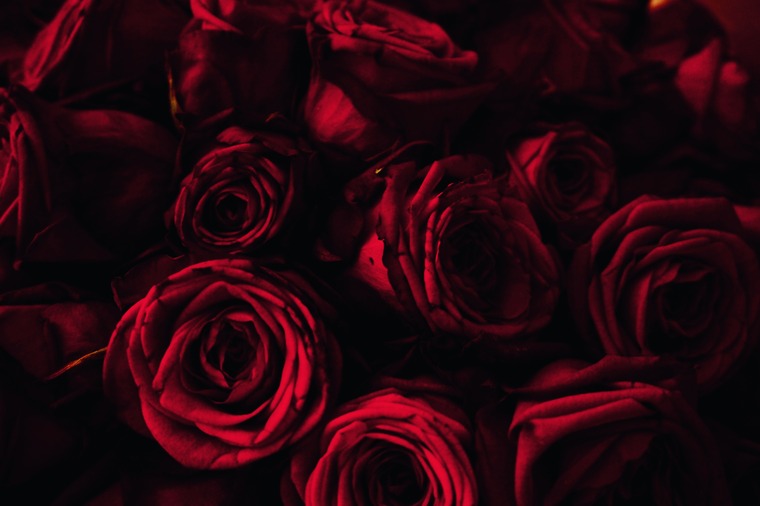 Ari cover image