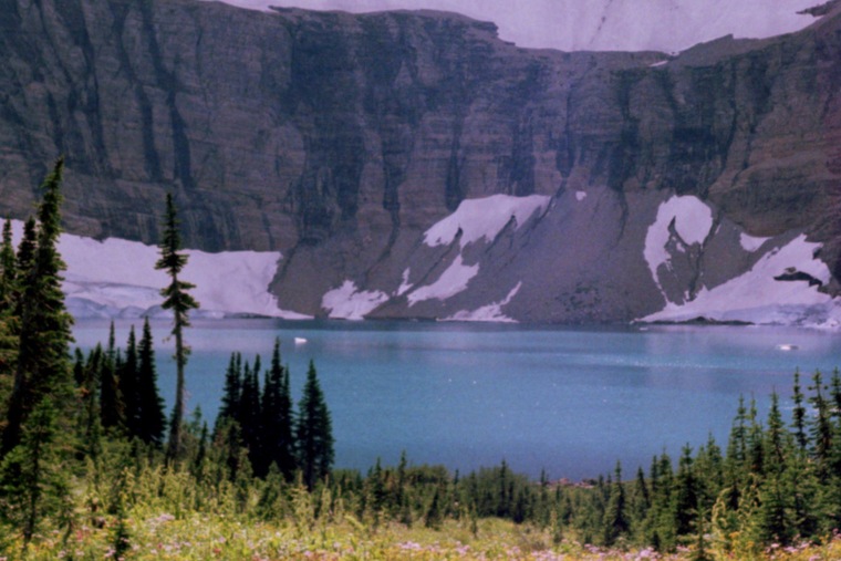 Itsboyleo banner image