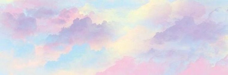 Carolina banner image