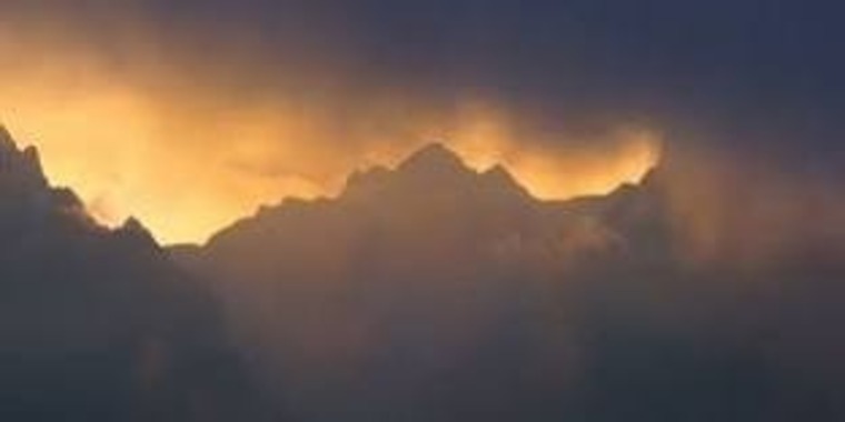 Caroline banner image