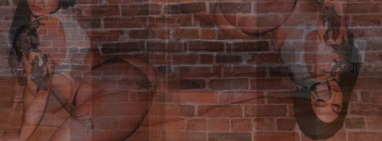 D A L L A S D I O R cover image