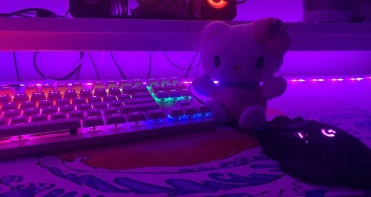 evoleht💜 banner image