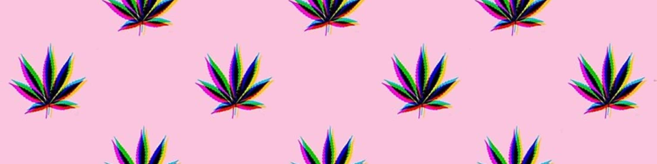 Indica Baby banner image