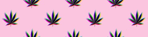 Indica Baby cover image