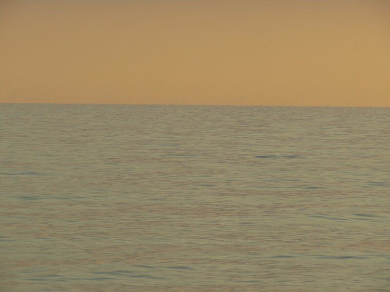 Jane Moore banner image