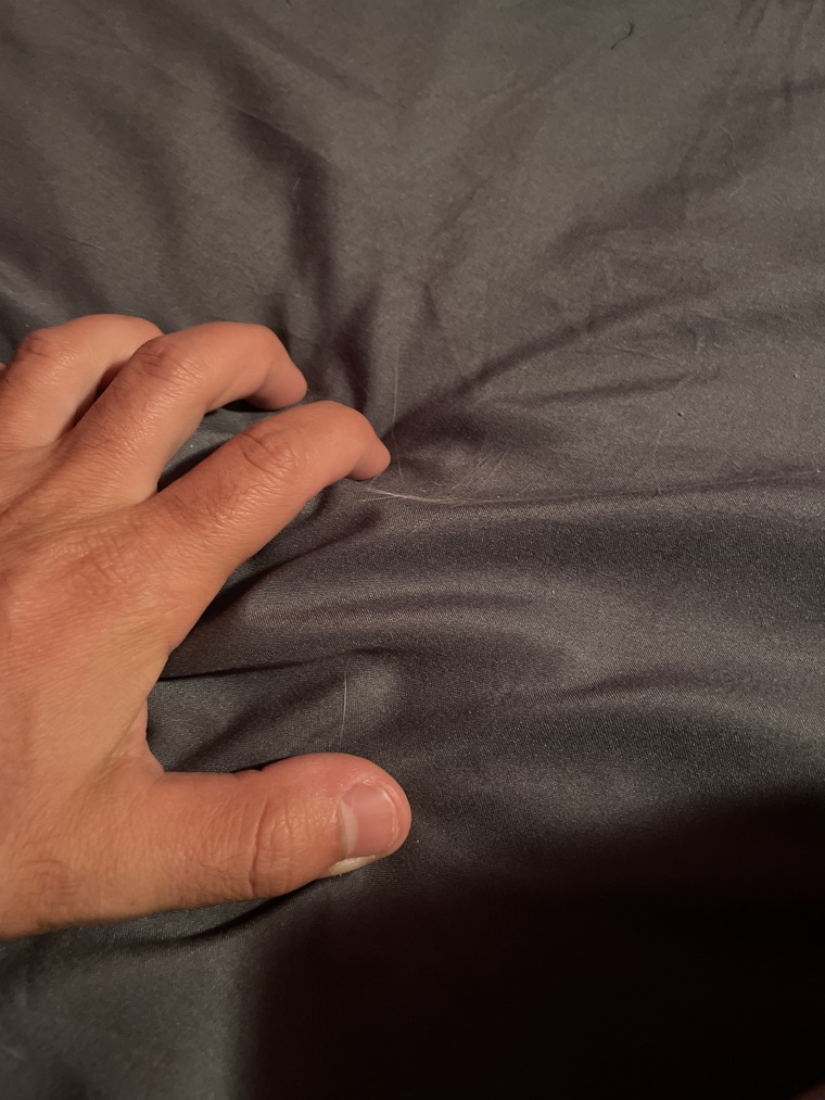 BonusHoleGuy cover image