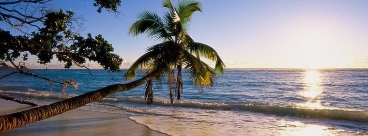 Alex banner image
