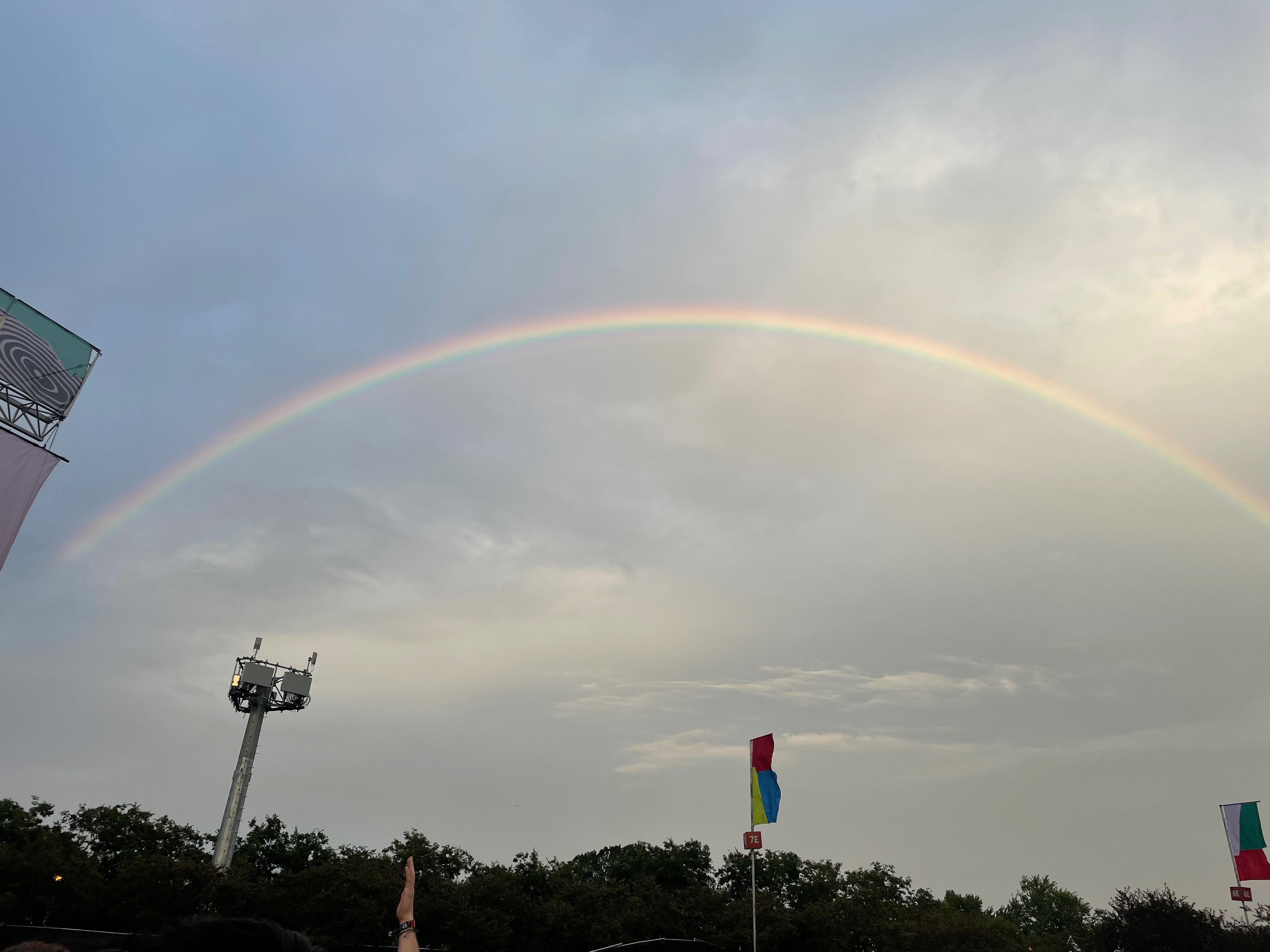 Noah π« (8.5 inch π₯΅) banner image