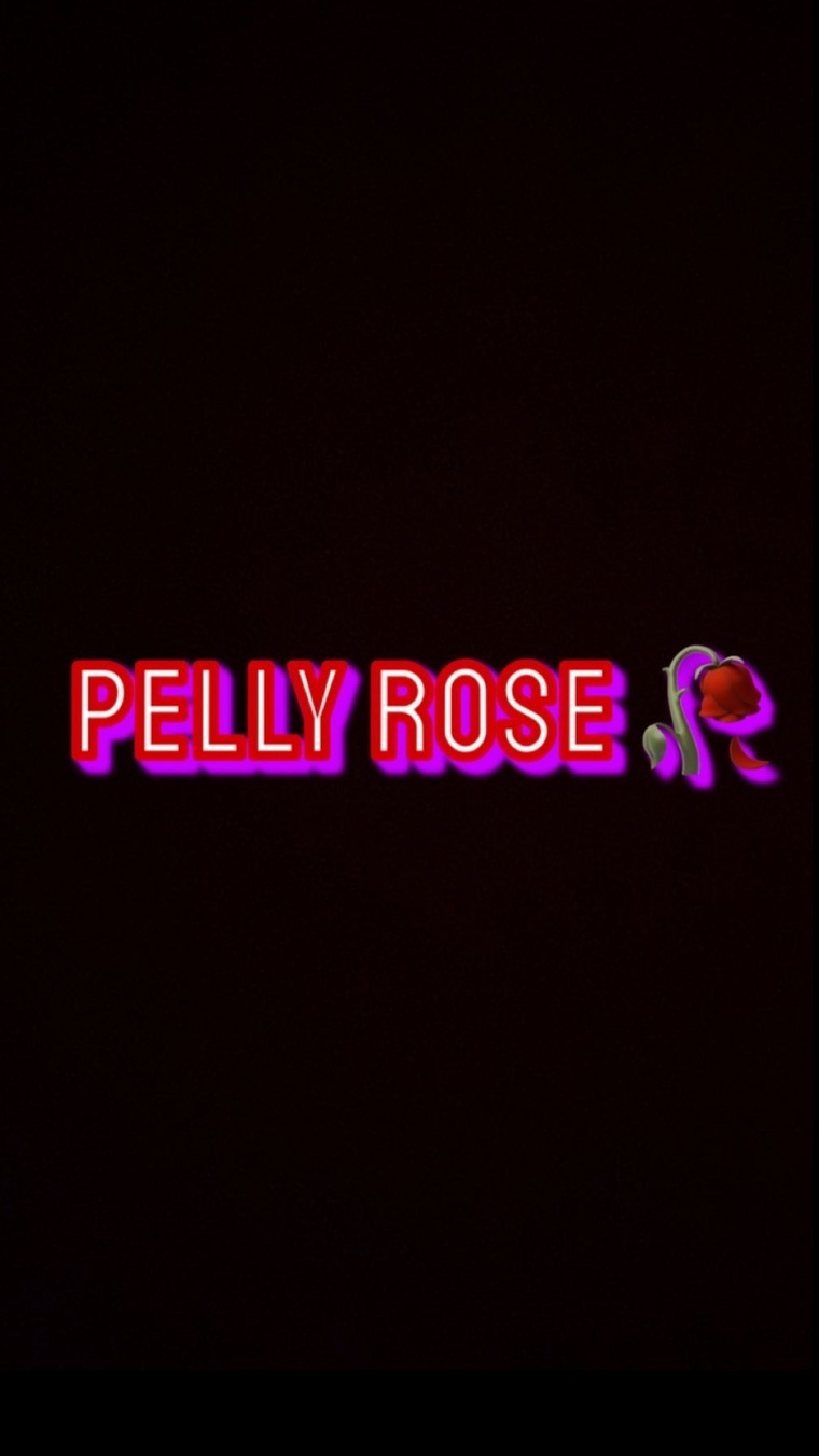 Pelly Rose π₯ banner image