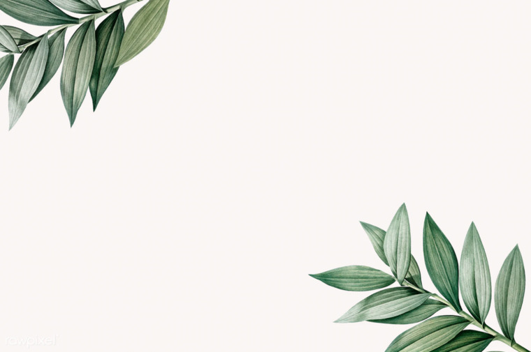 Sarah cover image