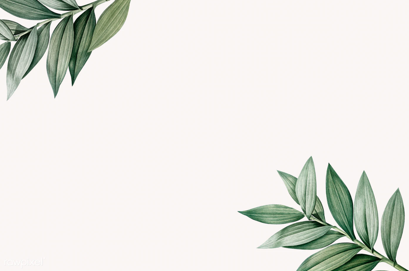 Sarah banner image