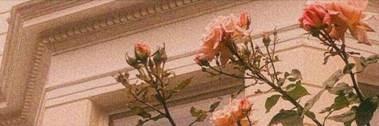 Tina banner image