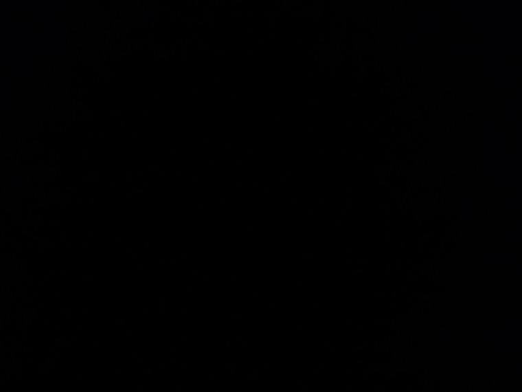 Ittybitty banner image
