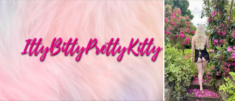 Kitty banner image